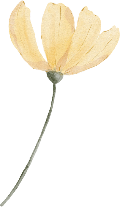 Watercolor yellow flower