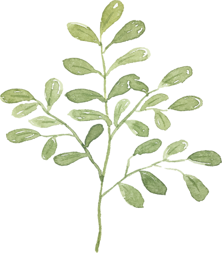 Fresh Leaves Illustration